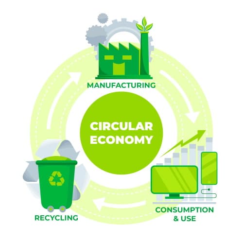 Circular economy: manufacturing, consumption and use, recycling